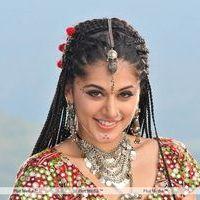 Tapsee Hot Stills | Picture 116228